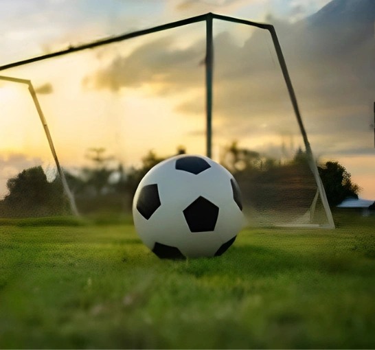 Sports facilities at Cheran College of Pharmacy